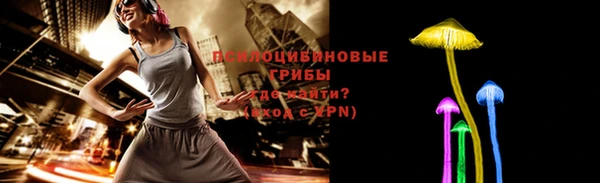 винт Протвино