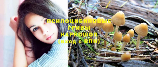 СК Приозерск