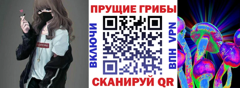 Галлюциногенные грибы GOLDEN TEACHER как найти закладки Артёмовский