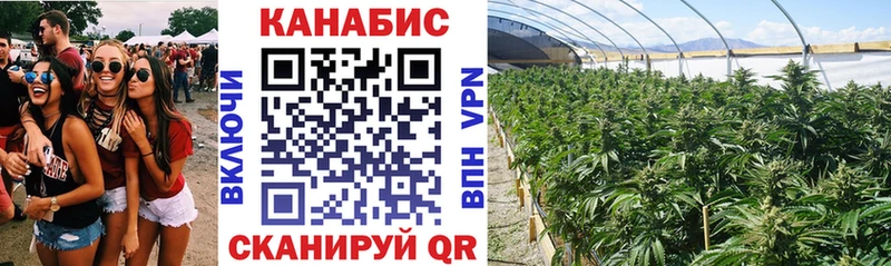 купить наркоту  Артёмовский  Конопля Amnesia 